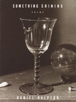 cover image of Something Shining